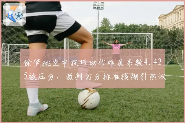 徐梦桃空中技巧动作难度系数4.425被压分，裁判打分标准模糊引热议